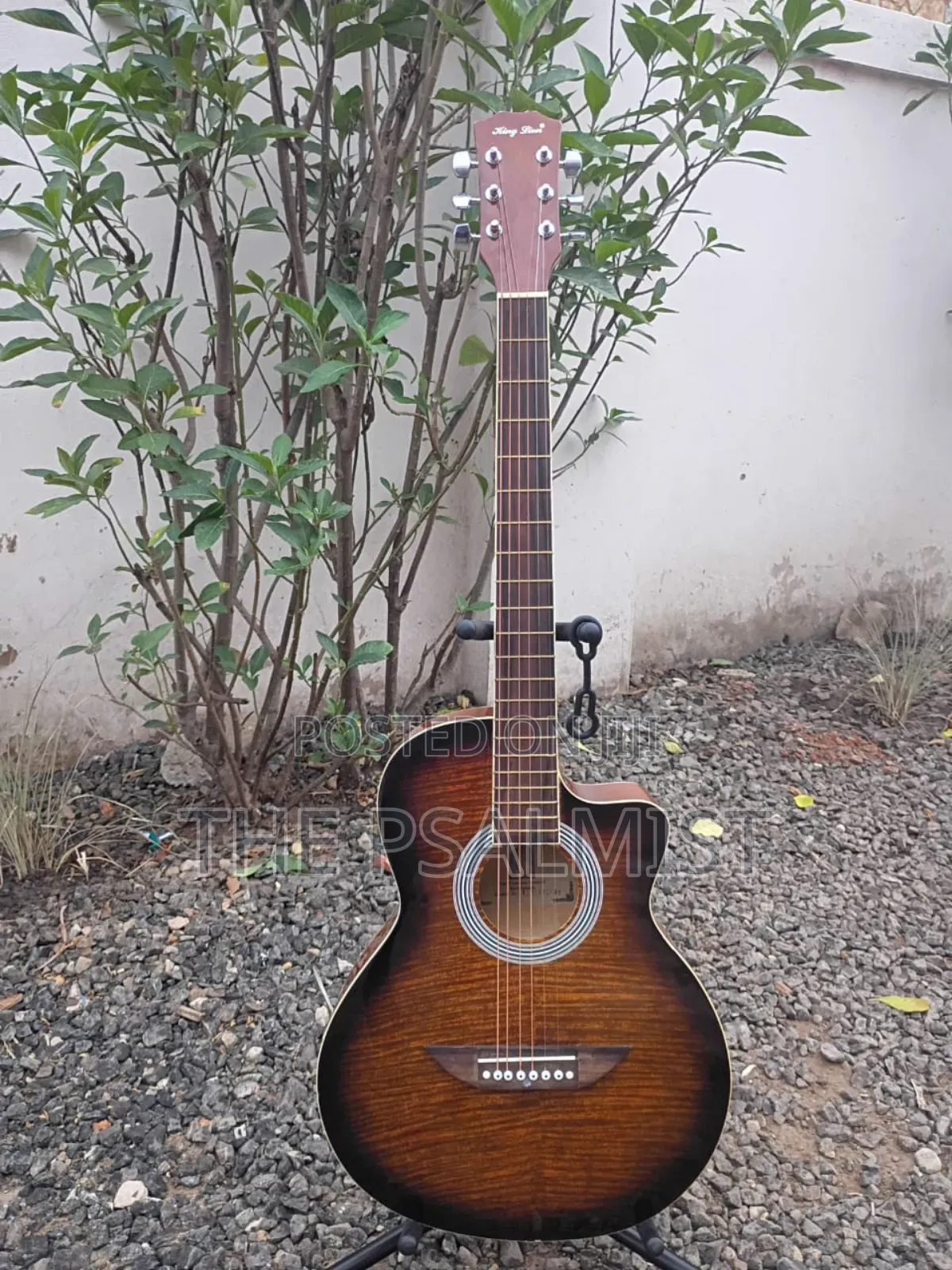 King Lion Kl-Rfy-39c Acoustic Guiar