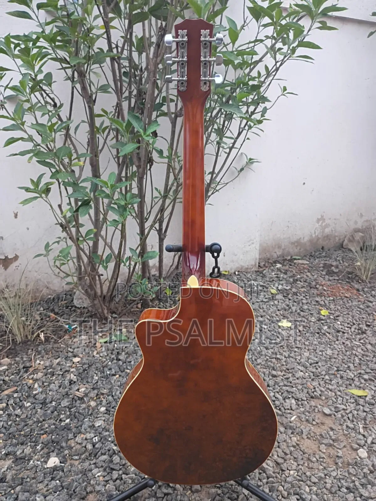 King Lion Kl-Rfy-39c Acoustic Guiar
