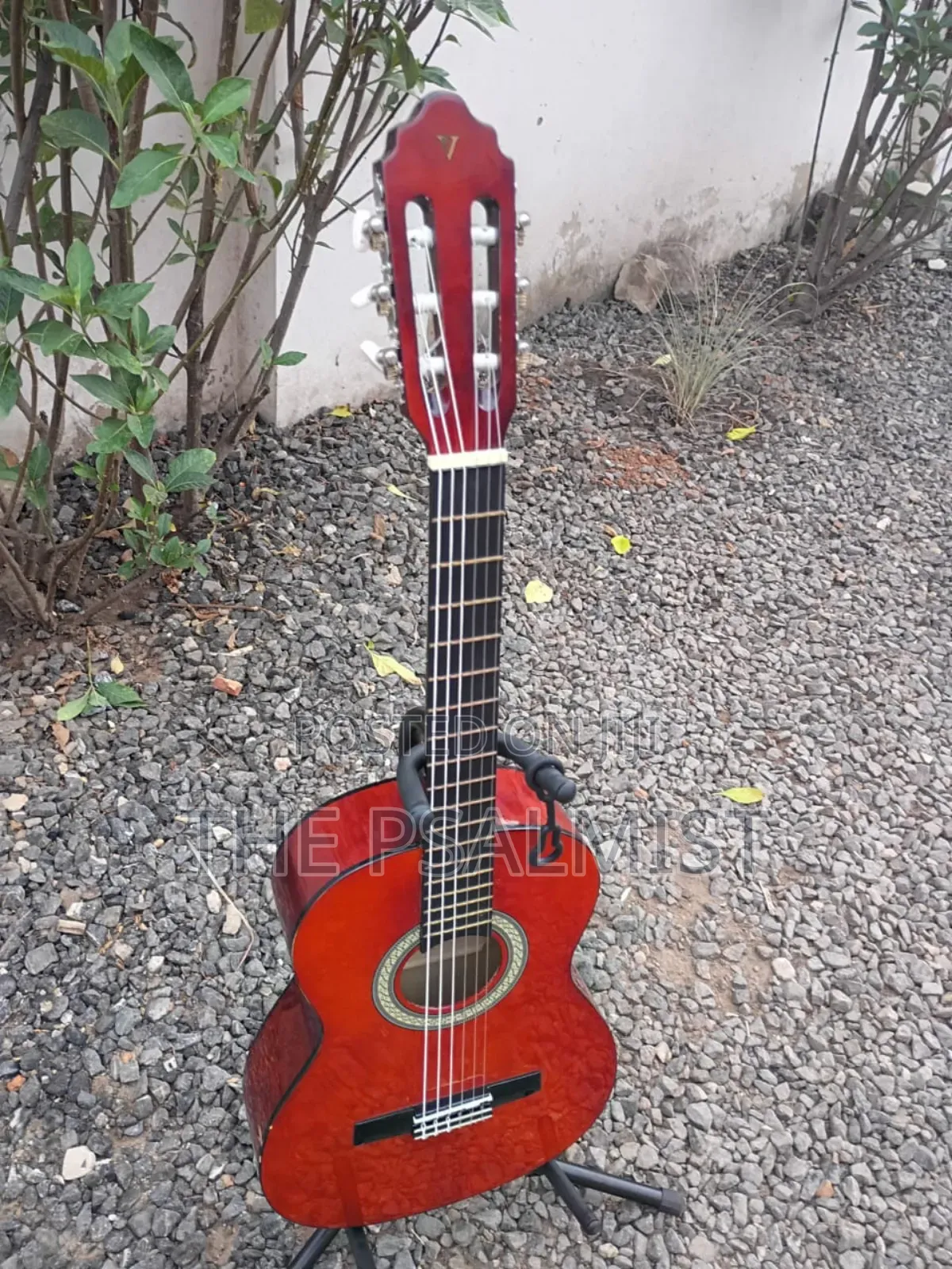Valencia 3/4 Classical Guitar