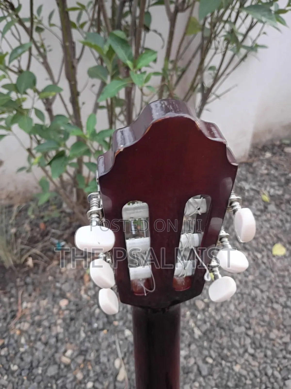 Valencia 3/4 Classical Guitar