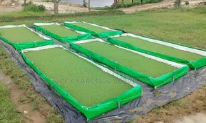 Aquaboost - Azolla Fish Experts