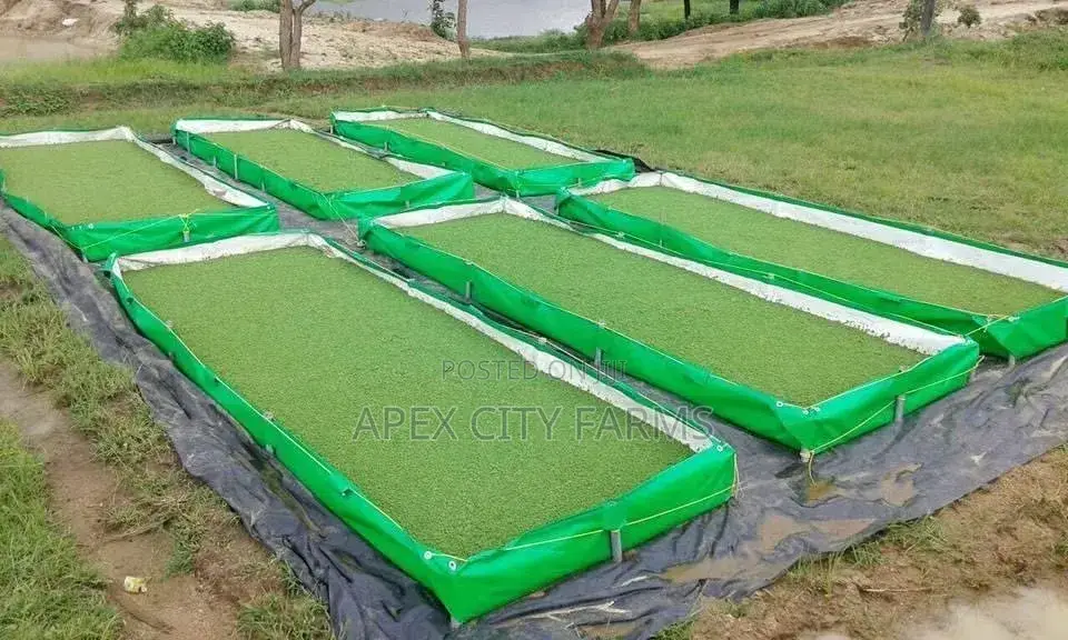 Aquaboost - Azolla Fish Experts