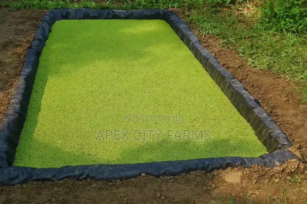 Aquaboost - Azolla Fish Experts