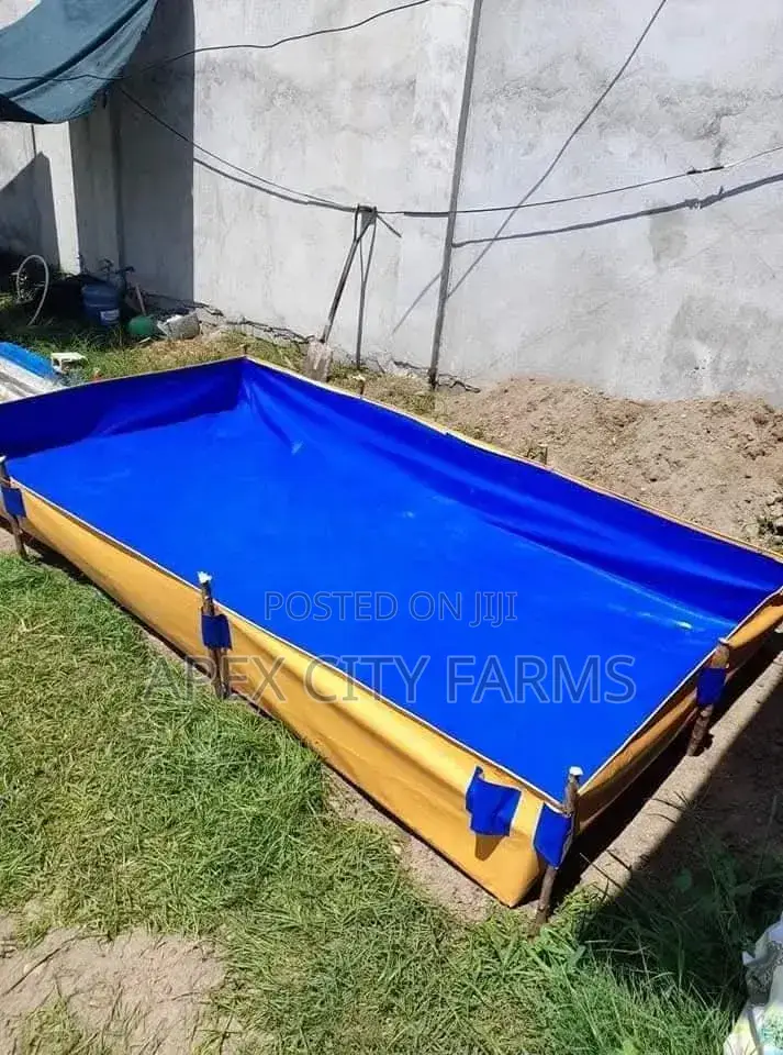 Aquaboost - Azolla Fish Experts