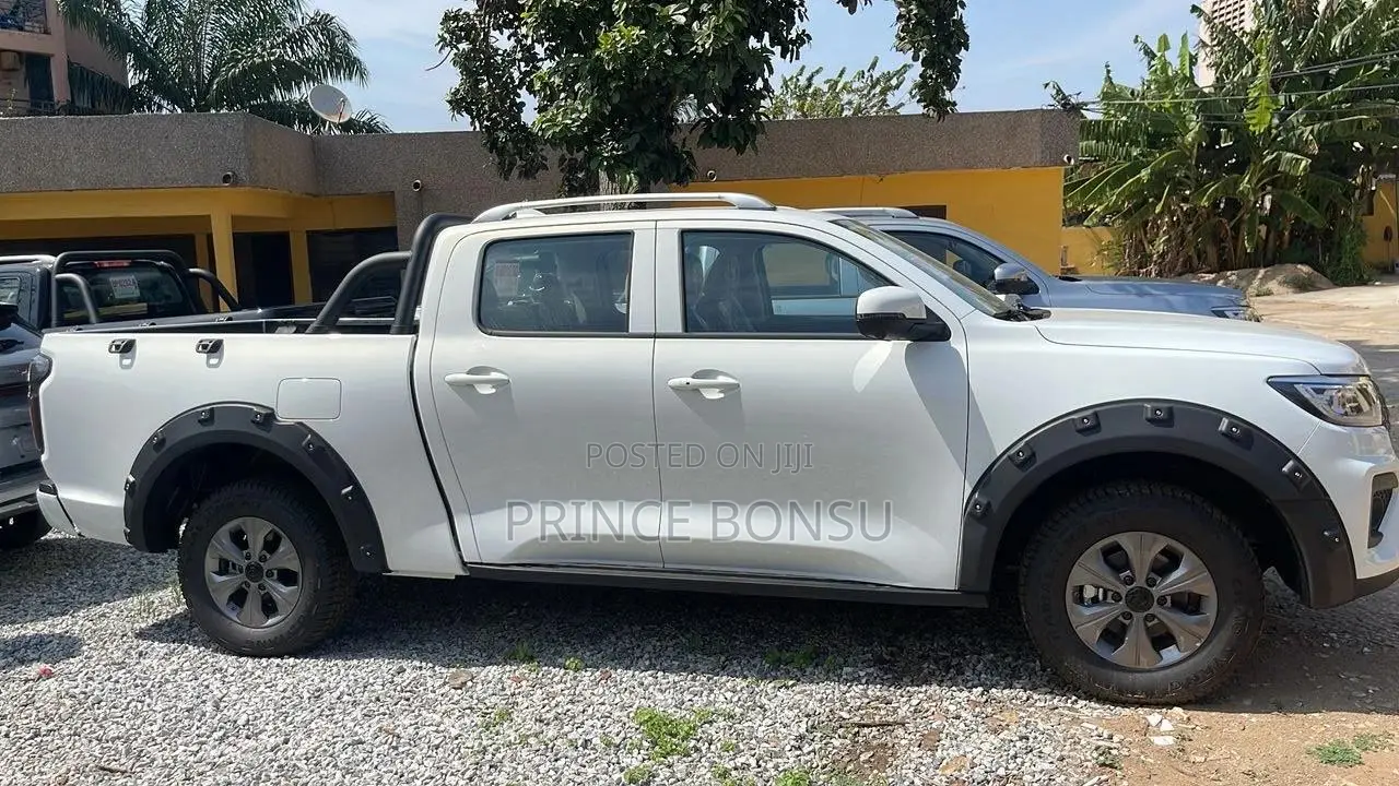 Great Wall King Kong Poer 2025 Silver