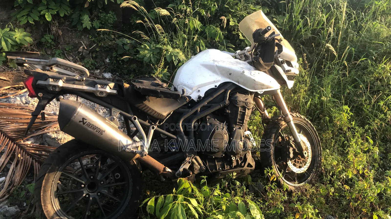 Triumph 2018 White