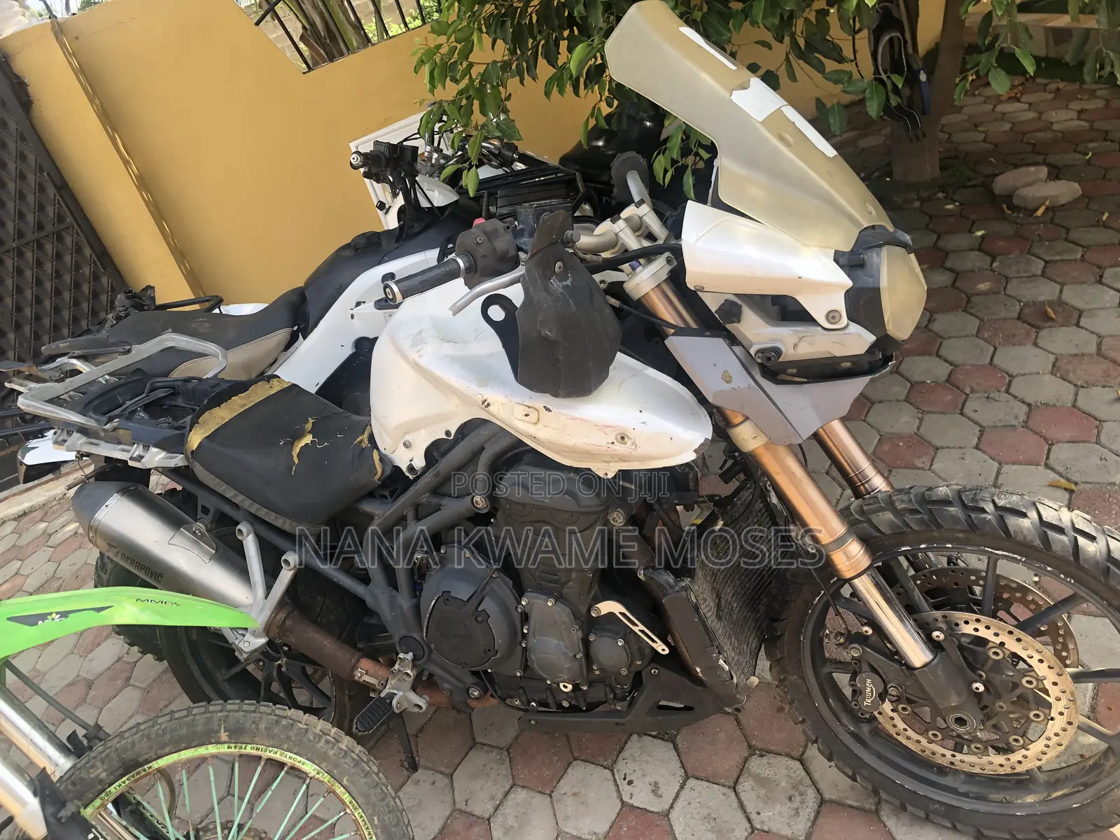 Triumph 2018 White