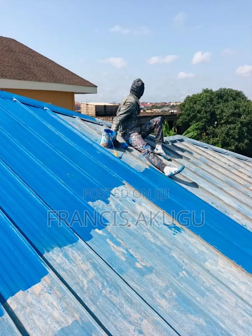 Roof Painting