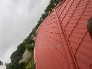 Roof Painting and Rust Treatment