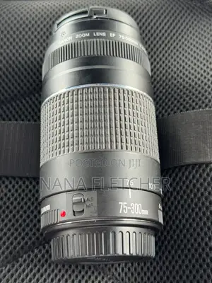 Canon Rebel T7