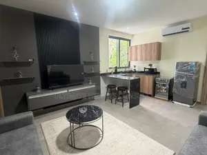 Furnished 2bdrm Apartment in Labone, Coffee Shop Area for rent