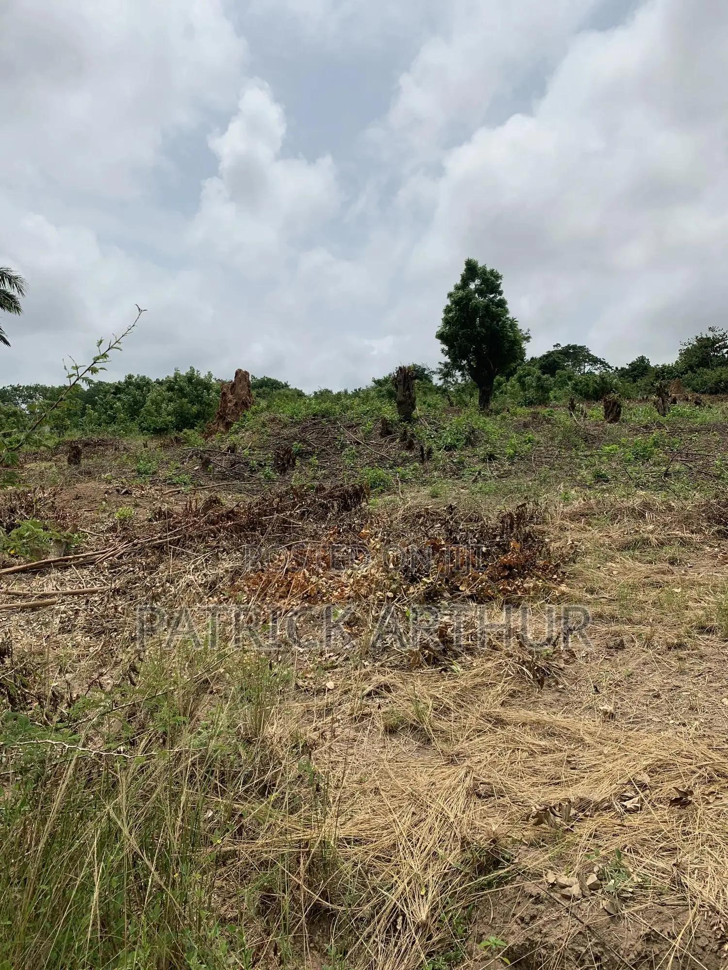 Land for Sale
