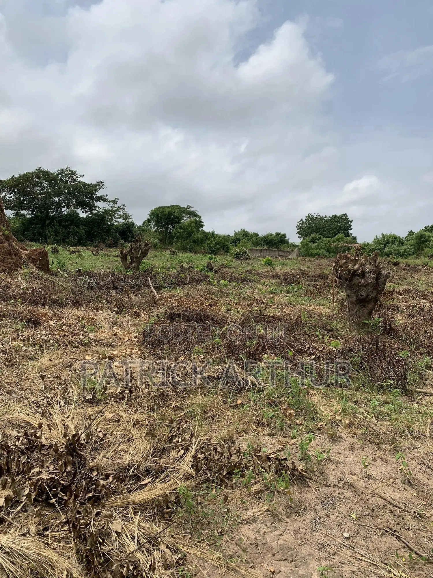 Land for Sale
