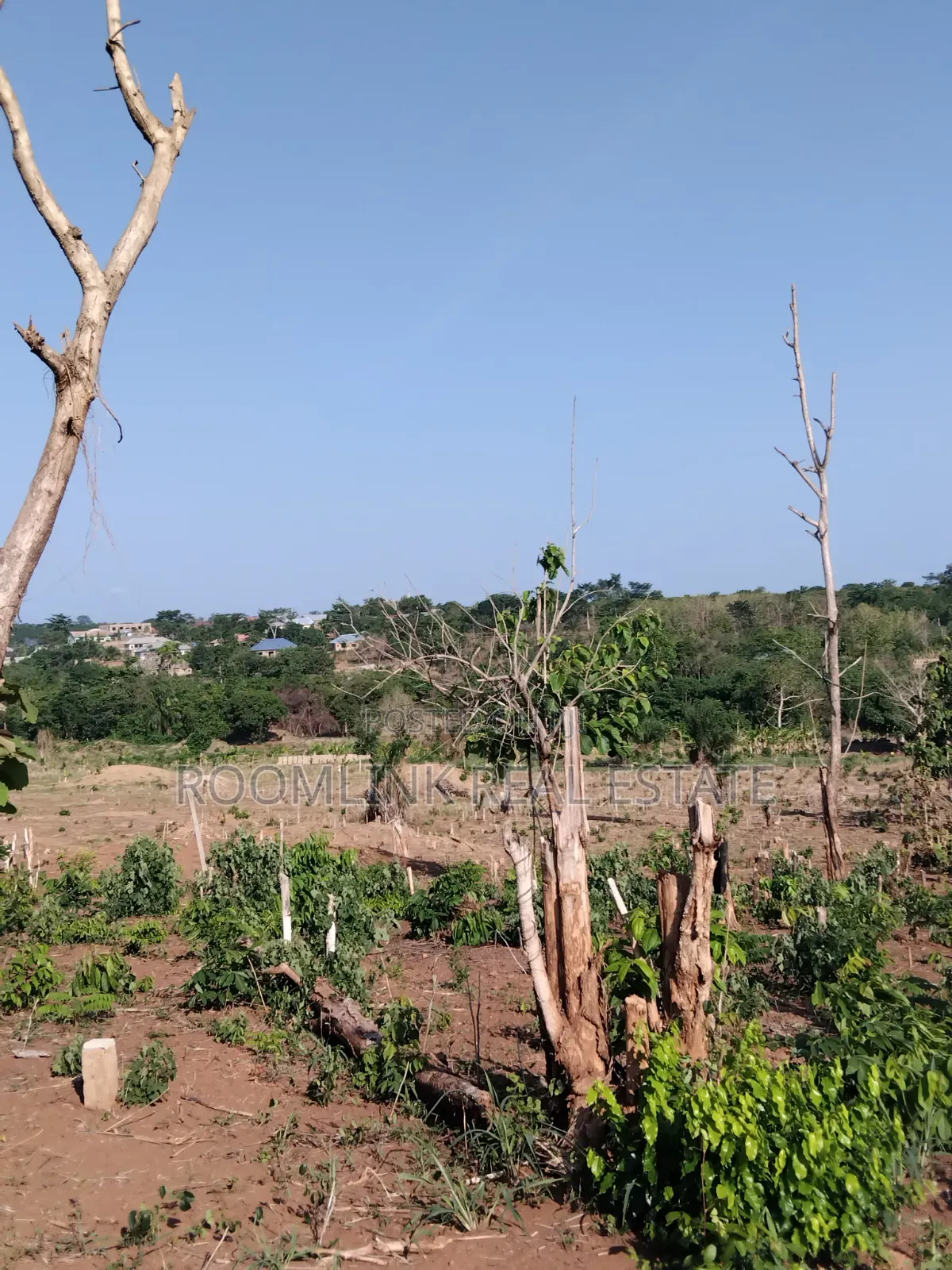 Plot at Dumasua Ringroad Area