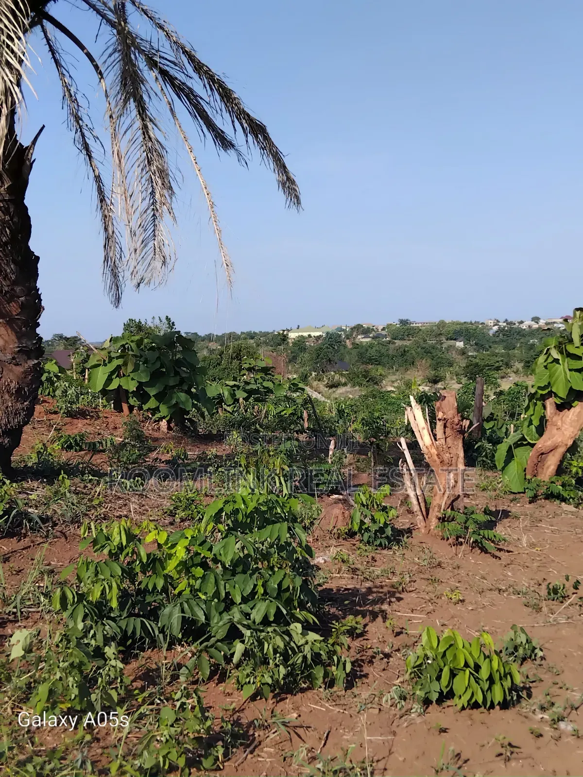 Plot at Dumasua Ringroad Area