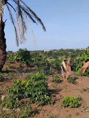 Plot at Dumasua Ringroad Area