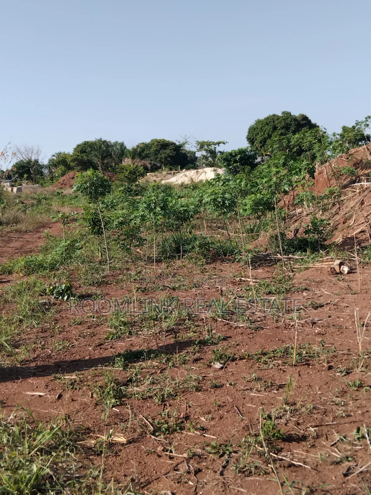 Plot at Dumasua Ringroad Area