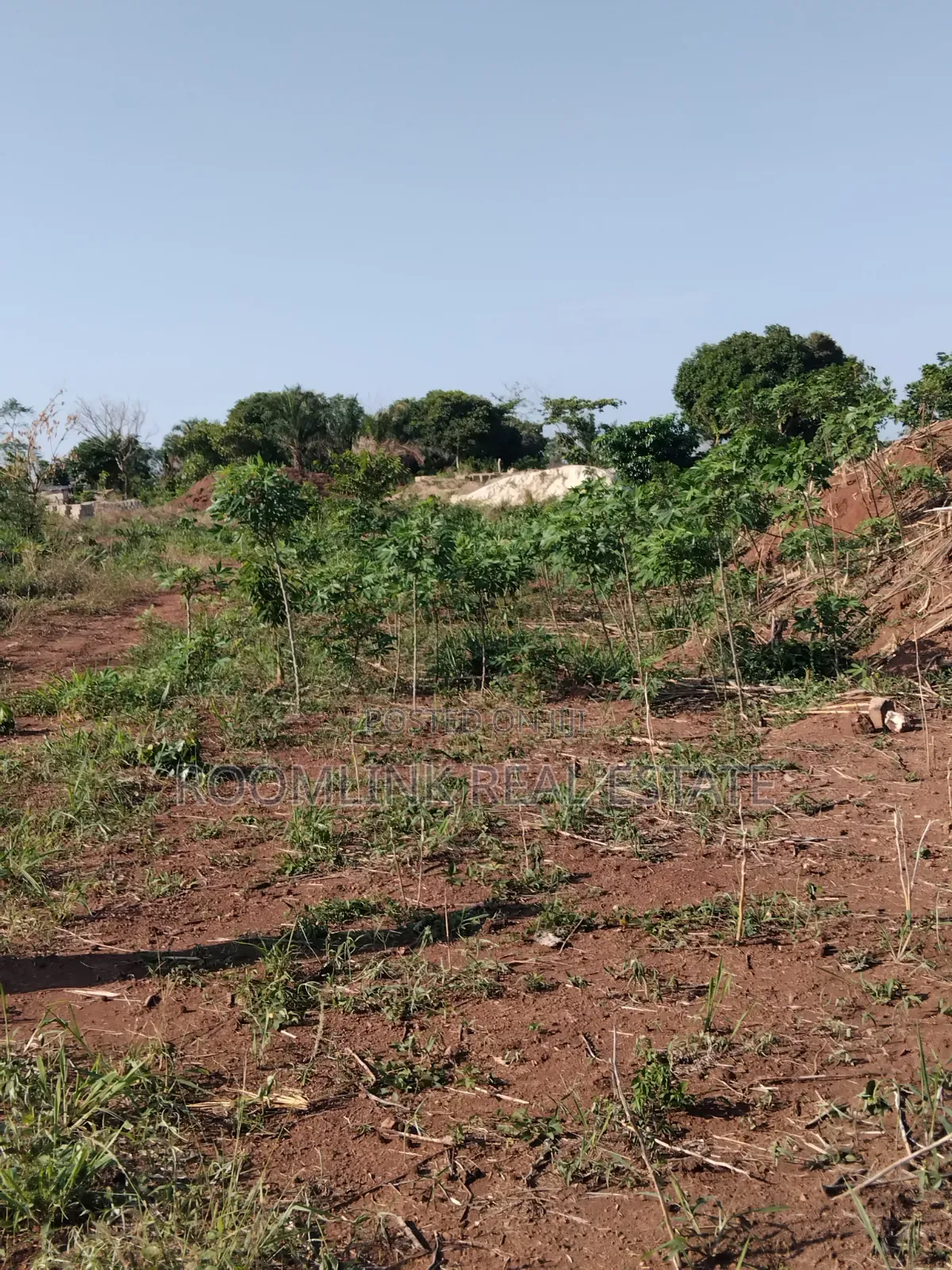 Plot at Dumasua Ringroad Area