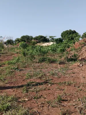 Plot at Dumasua Ringroad Area