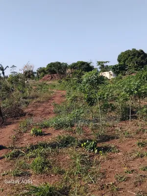 Plot at Dumasua Ringroad Area