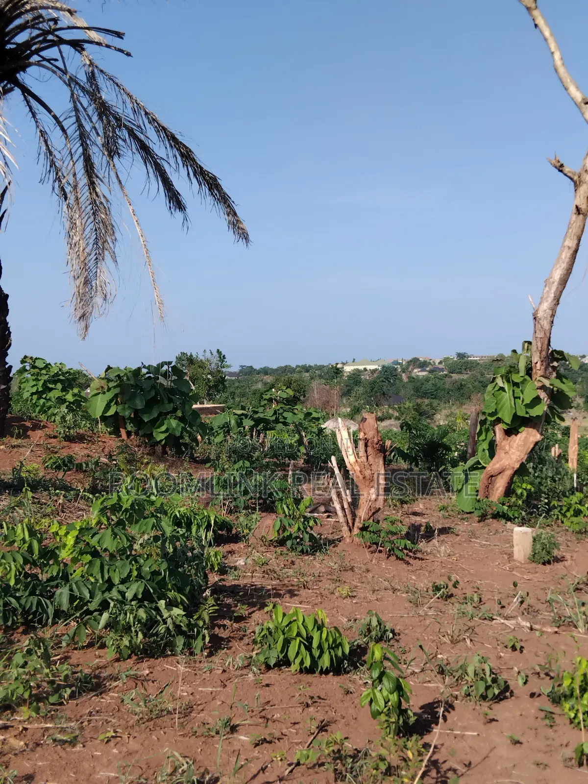 Plot at Dumasua Ringroad Area