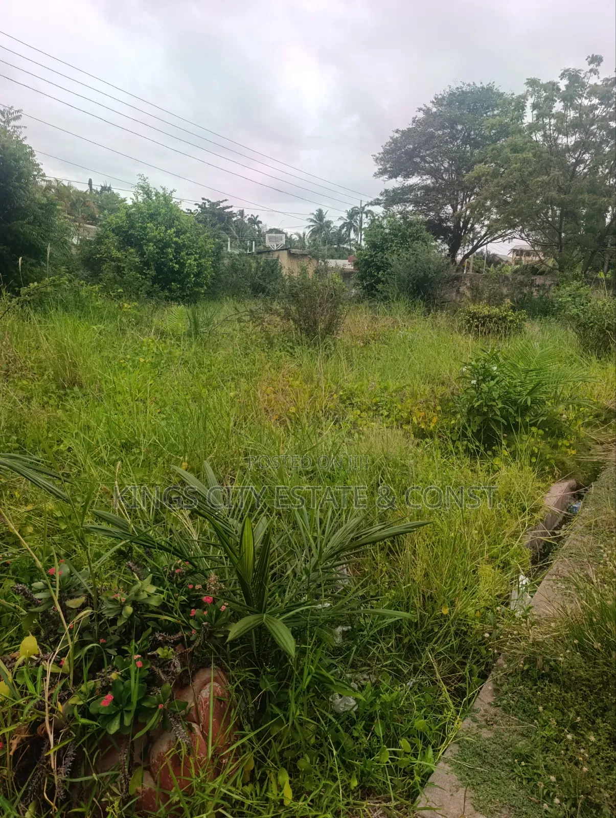 6 Plots for Sale at Tesano, (1.5 Million Dollars)