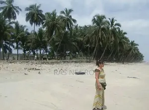 Beach Front Land