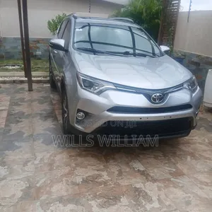 Toyota RAV4 XLE AWD (2.5L 4cyl 6A) 2016 Silver
