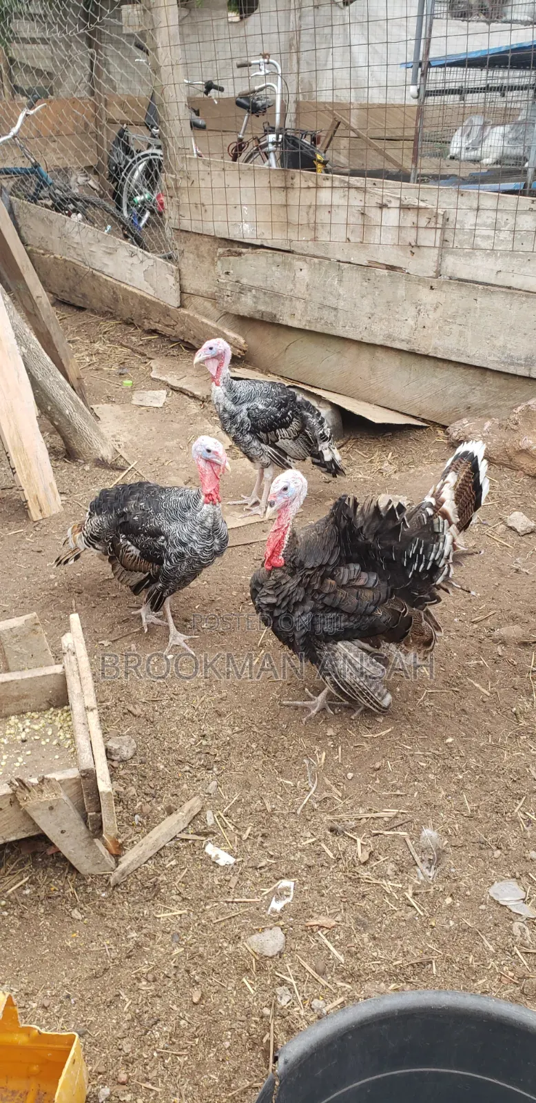Poultry Farm