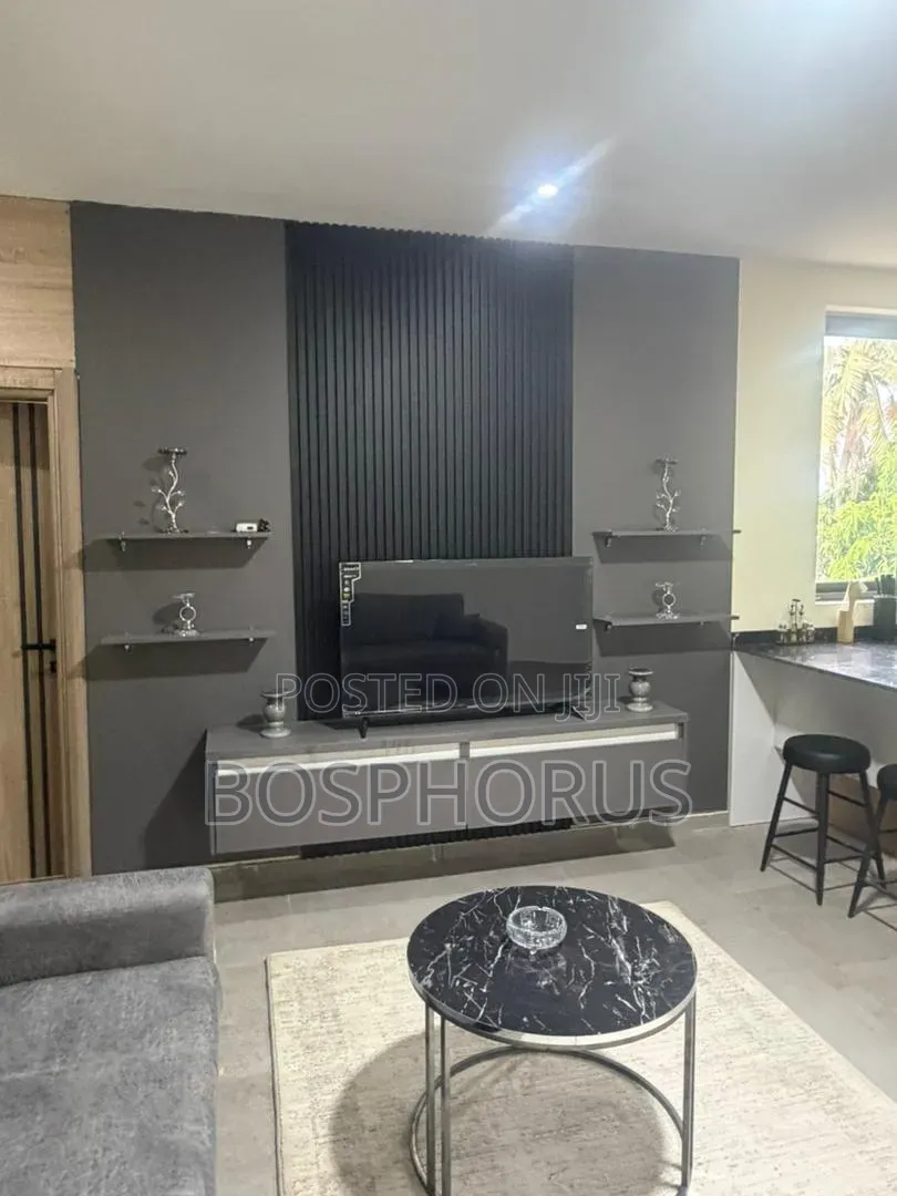 Furnished 2bdrm Apartment in Labone for rent