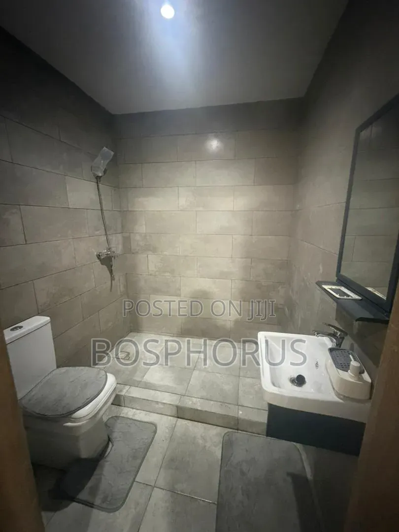 Furnished 2bdrm Apartment in Labone for rent