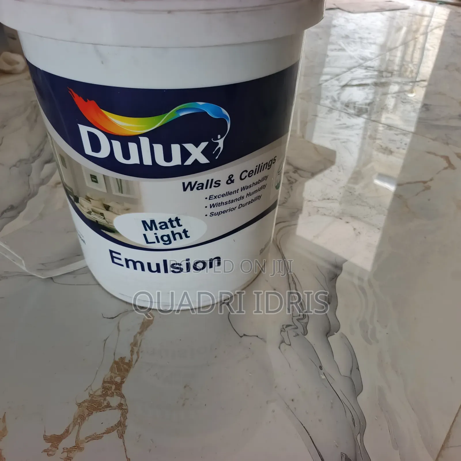 Professional Painter