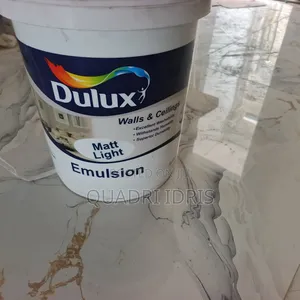 Professional Painter