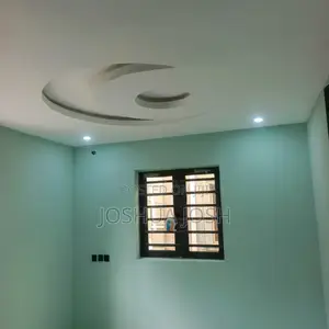 Professional Painter