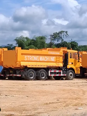 Shacman Truck for Sale