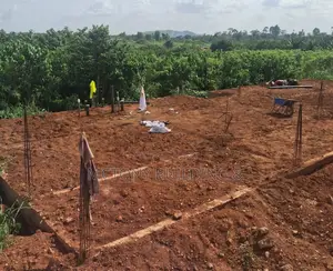 Building and Construction