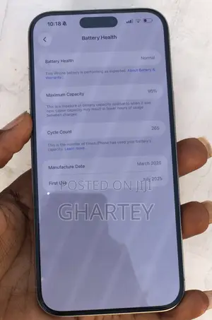 Apple iPhone 16 Pro Max 256 GB Silver