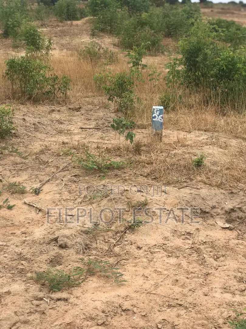 Spacious Dawhenya Plot – Ready for Development
