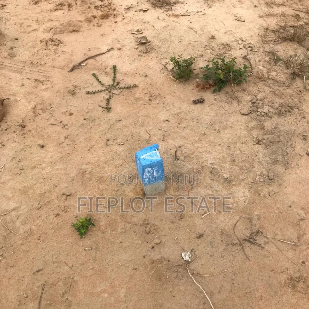 Spacious Dawhenya Plot – Ready for Development