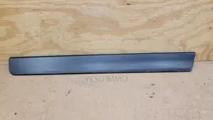 Nissan Rogue 2016-2018 Door Moulding