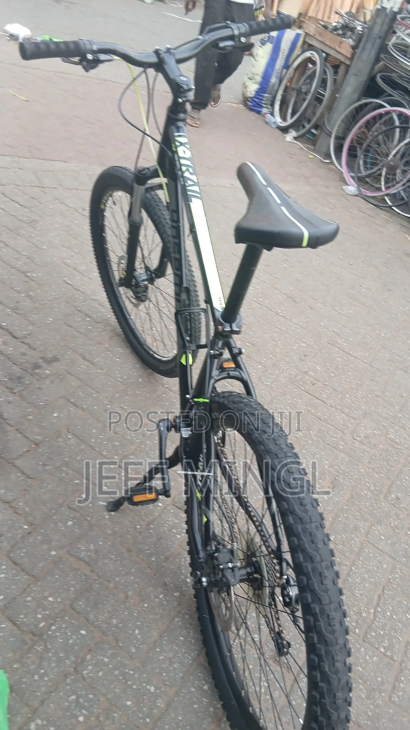 Mountain Bike