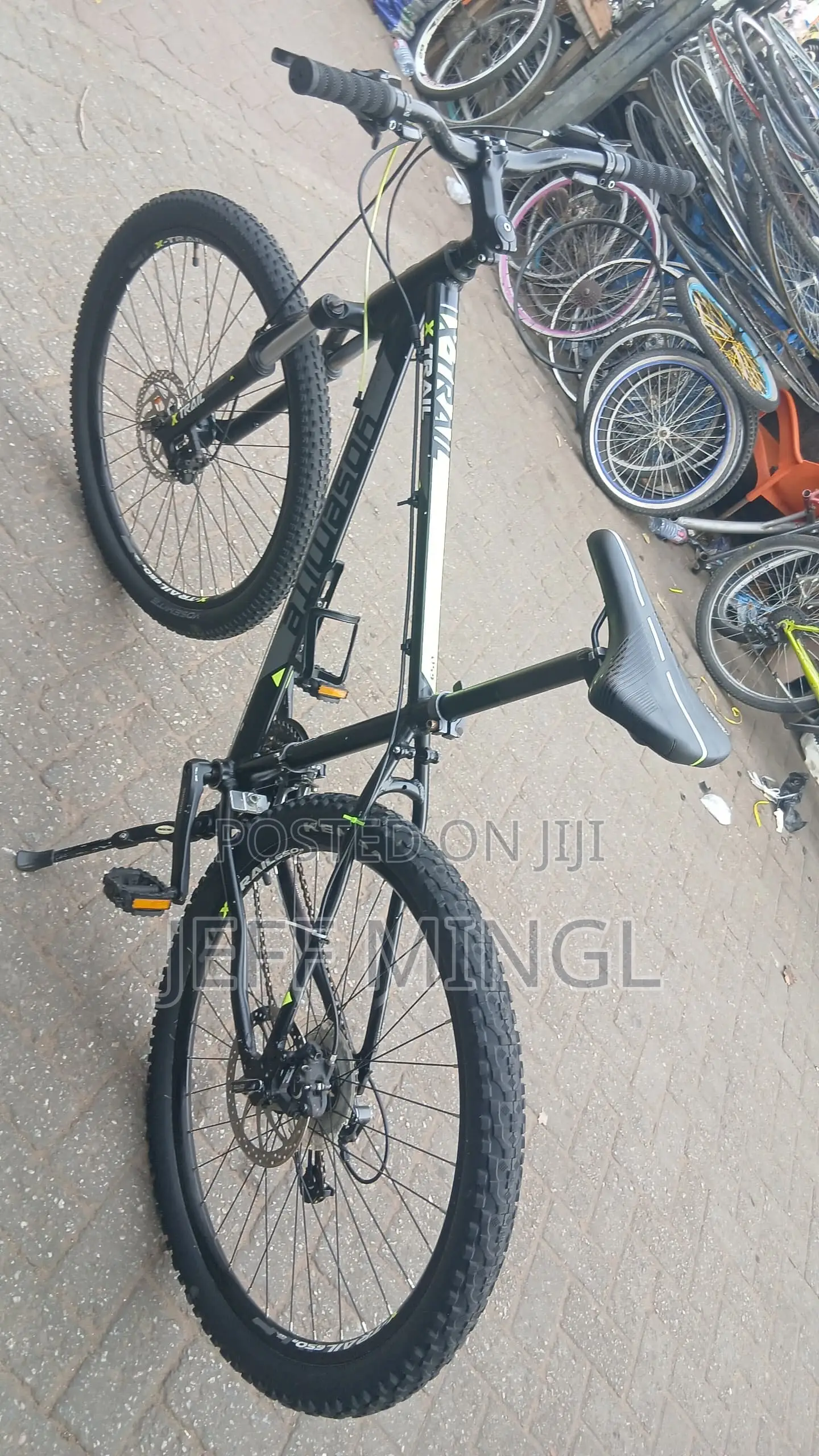 Mountain Bike