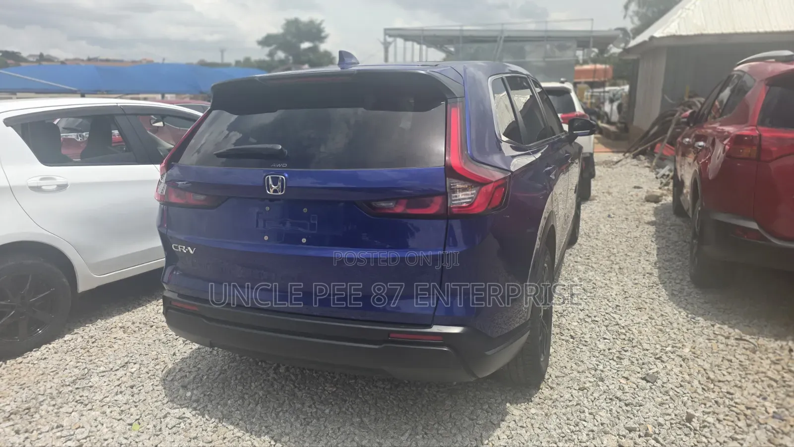 Honda CR-V EX AWD w/o BSI 2024 Blue