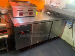 Counter Fridge Double Door