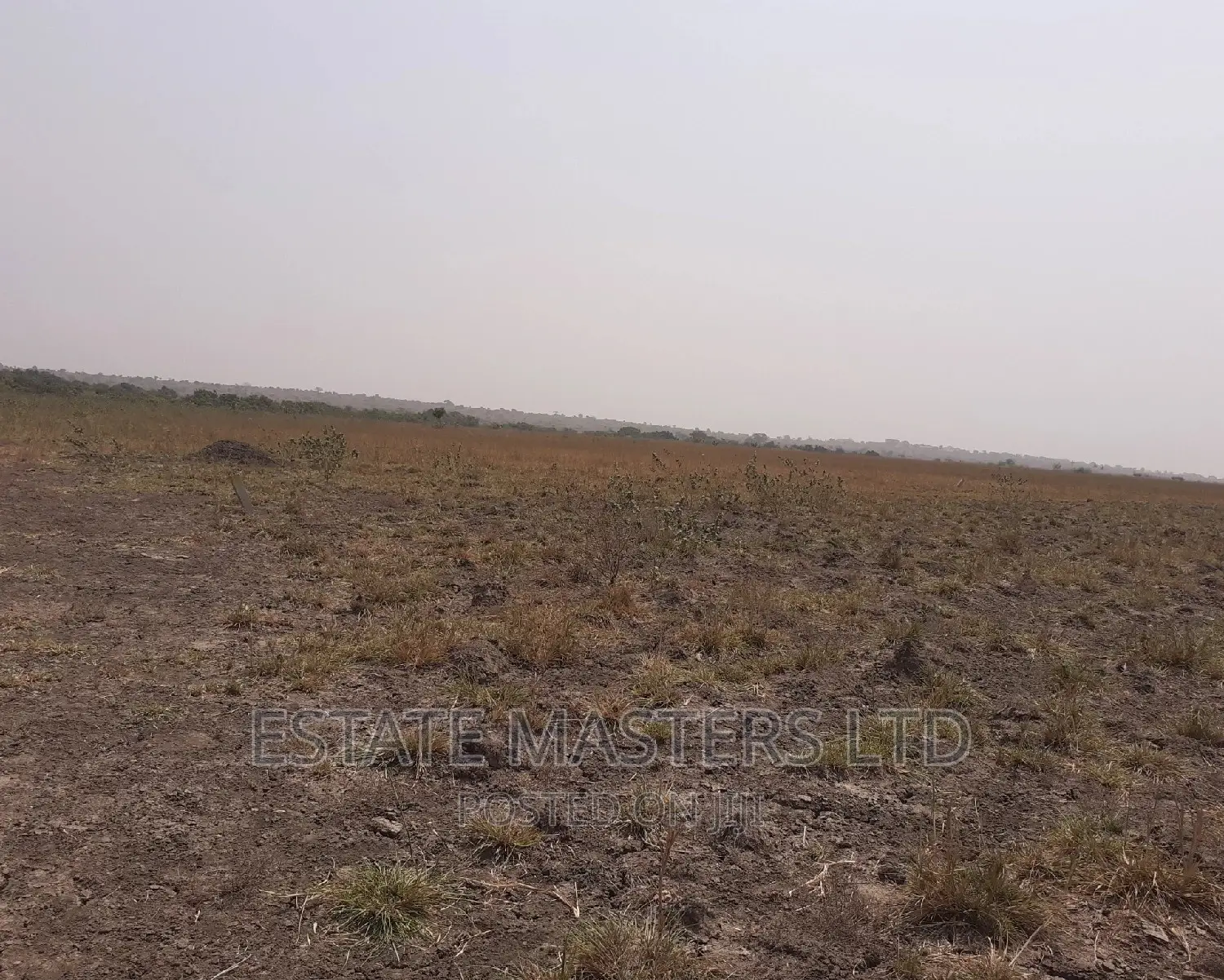 Exquisite Serviced Plot at Tsopoli