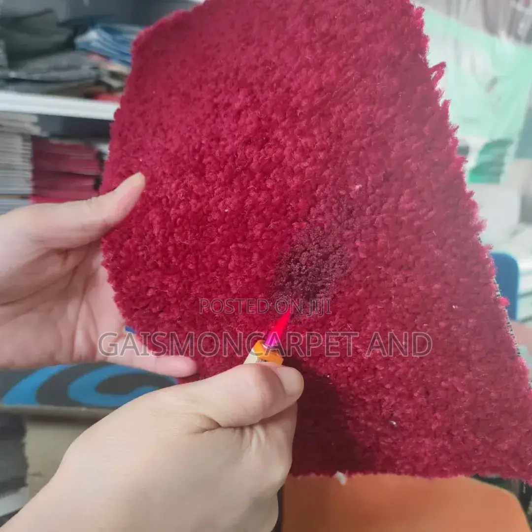 Luxury Anti Slip Shaggy Fluffy Carpet Soft for Home and Hotel Use