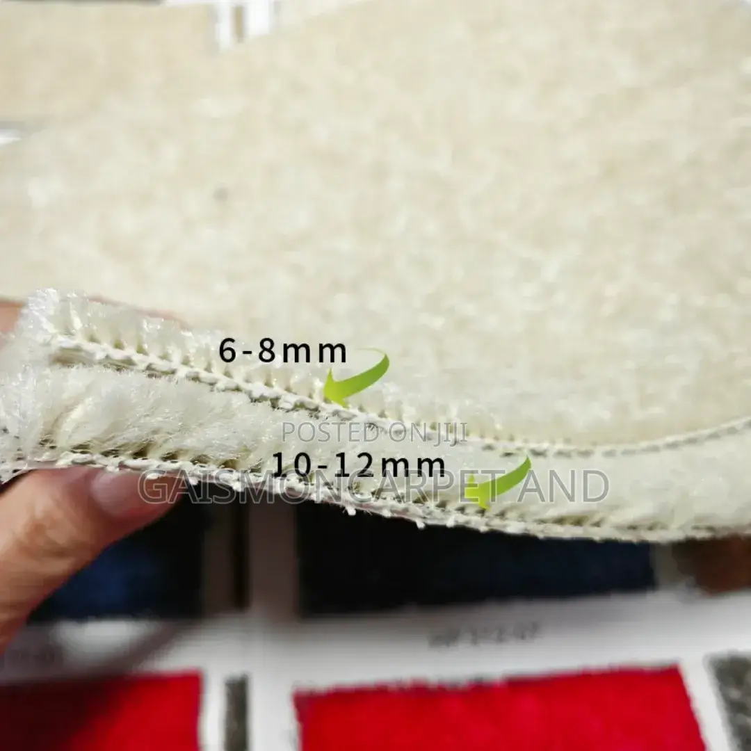 Luxury Anti Slip Shaggy Fluffy Carpet Soft for Home and Hotel Use