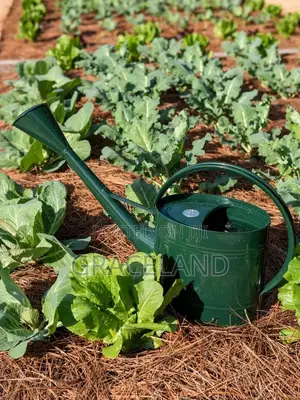This Is Original Long Reach Watering Can Metal Large Can