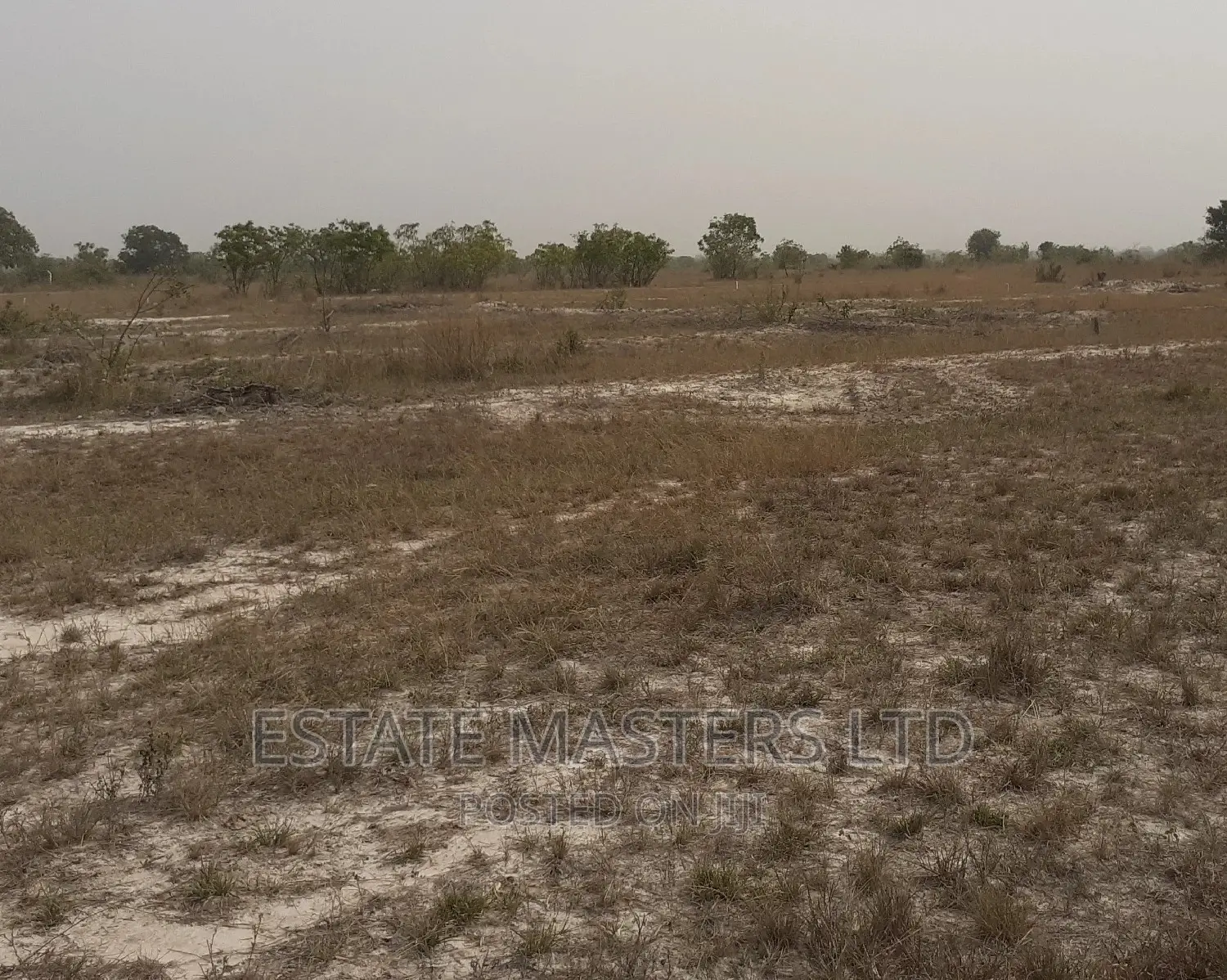 Exquisite Serviced Plot at Tsopoli