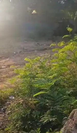 Plot Of Lands For Sale